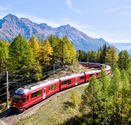 train rouge et blanc qui circule en forêt au milieu des pins et des montagnes.